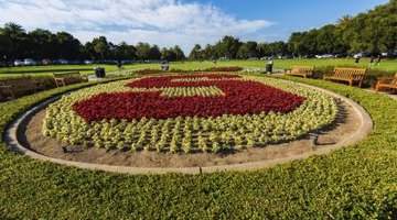 Stanford University