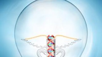 Geneticists use DNA to study diseases and how genes affect the body.