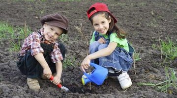 A school garden with two young students working in it