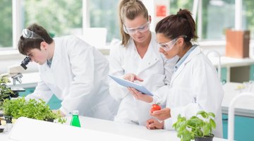 Three researching students in a lab.