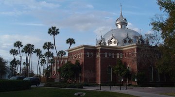 University of Tampa