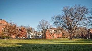 View of campus from Chapin Lawn. Hatfield Hall (center) and John M. Greene Hall (far left) are both visible.