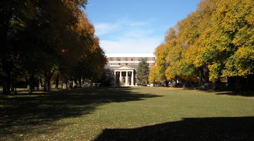 View of the Quad, looking north