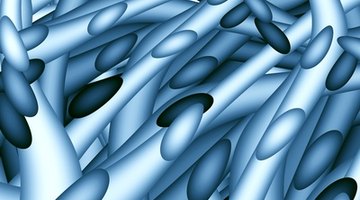How to Compare TEM & SEM