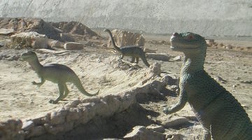 Facts About Trace Fossils