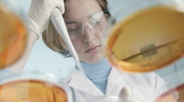 A doctorate in microbiology requires postgraduate research.