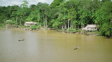 What Are the Resources of the Amazon Rainforest?