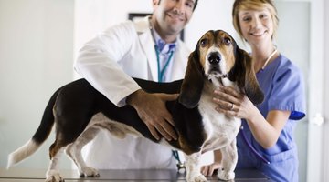 College students must take high-level math classes to become veterinarians.