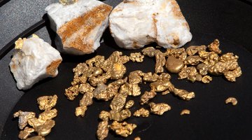 Gold nuggets found panning and quartz with gold strands