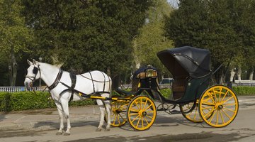 A white horse pulling a convertible carriage in the park.