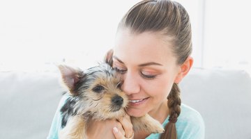 Young woman hugging dog