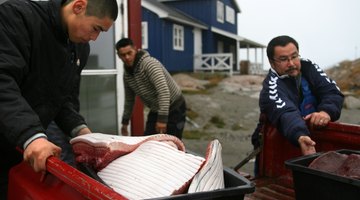 Inuit fishermen in Greenland.