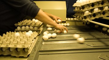 Many colleges offer agribusiness internships for credit.