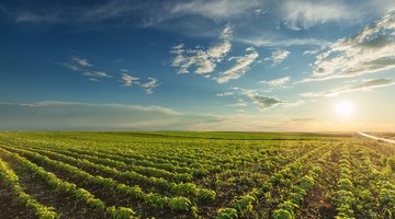 What Are the Impacts of Humans on Grassland Biomes?