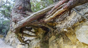 Four Types of Physical Weathering