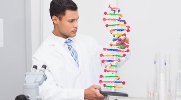 How to Make a 3-D DNA Model for High School Biology