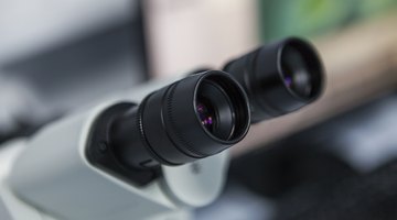 How to Calculate the Field of View in a Microscope