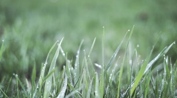 What Happens to Relative Humidity as Air Temperature Rises?