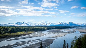 Biotic & Abiotic Factors in the Tundra