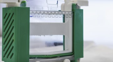 The Purpose of the Buffer in Electrophoresis