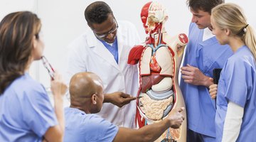 List of College Courses in the Medical Field