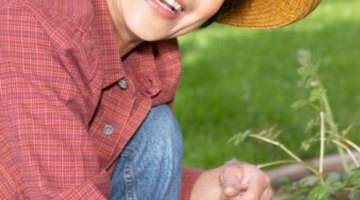 Dieta para perder peso rápido para una mujer de 60