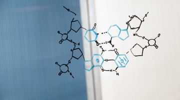 How to Use the Octet Rule