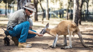 The Different Fields of Zoology