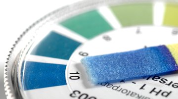 What Is the Difference Between Blue & Red Litmus Paper?