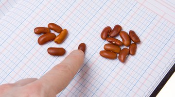 How to Calculate the Ratio Between Two Numbers