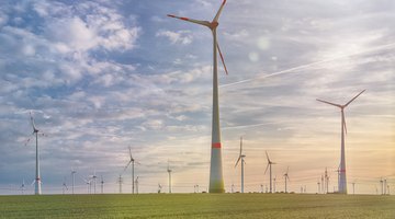 Natural Renewable Resources