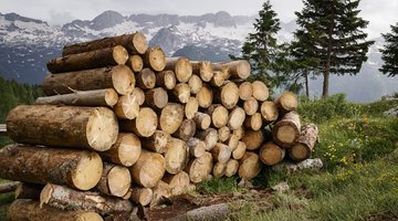 Lumberjack Tools of the 1800s