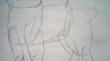 Draw the basic shapes that make up the Samoyed's body.