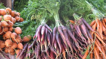 Purple carrots are as old as the Middle Ages but can be white as well.