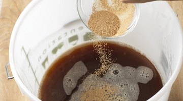 Adding yeast for beer to ferment