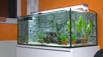 UV bulbs fit and work with most aquariums.