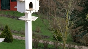 Wooden posts work well holding the purple martin bird house.