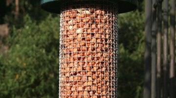 It's best to keep bird feeders out of the way of cats