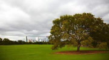 Austin, Texas, has a humid climate.