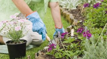 Flower beds take attention away from the flat features of a ranch style house.