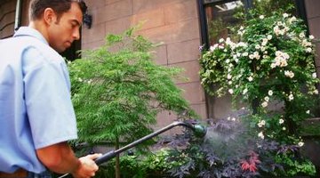 Lawn service