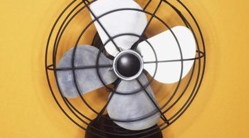 Increase airflow with a fan to dry carpet faster.