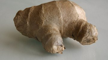 Ginger root is a traditional remedy for nausea and vomiting.