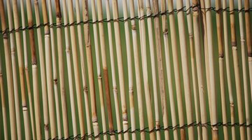 Bamboo fencing can last for decades.