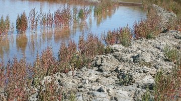 Biological treatments for portable toilets can prevent pollution of ground water.