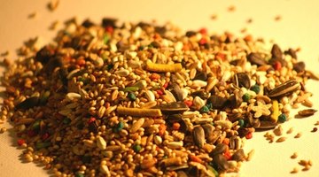 Birdseed is a great alternative to polystyrene beads when it comes to stuffing.