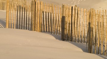 If the fence will be located on the water side of the primary dune, sand fences should be installed in 10-foot lengths parallel to each other and at 45 degree angles to the shore.