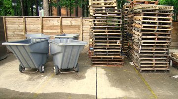 Poplar wood is used in pallets.