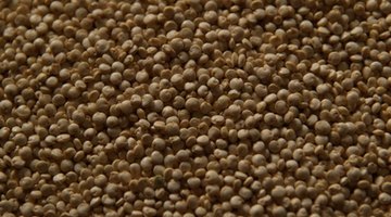 Quinoa ma wszystkie niezbędne aminokwasy i może być używana zamiast ryżu lub makaronu.