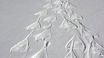 Snowshoes create interesting patterns when placed next to each other, heel to toe.